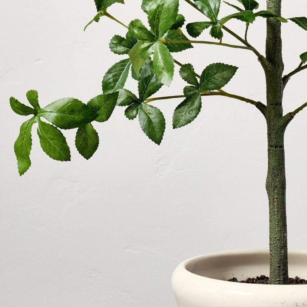 Hearth & Hand Green Faux Plant in Cream Pot - Picture 3 of 3